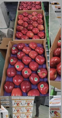 برچسب‌گذاری و لیبل‌گذاری